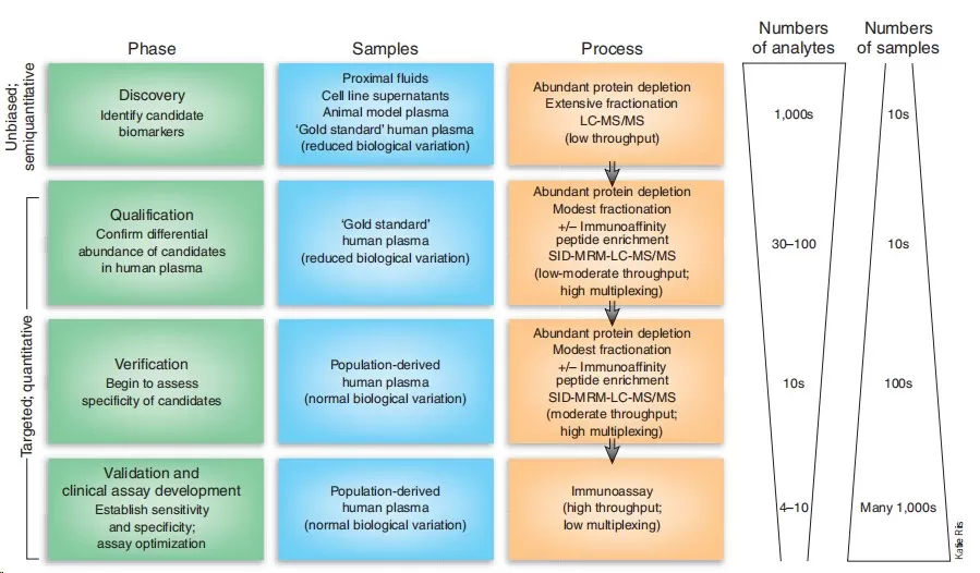 Figure 2. Workflow for developing new protein biomarker candidates